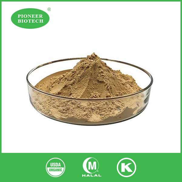 Milk Thistle Extract Powder
